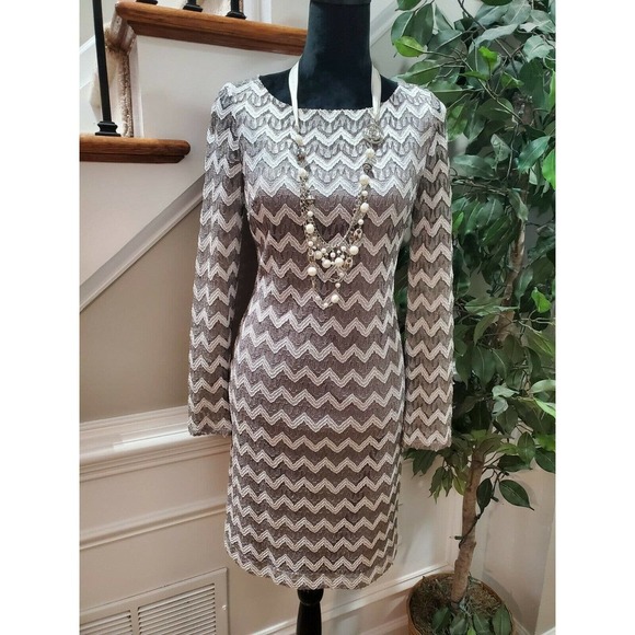 Jessica H Women's Gray Cotton Round Neck Long Sleeve Knee Length Dress Size 10 - Picture 1 of 11